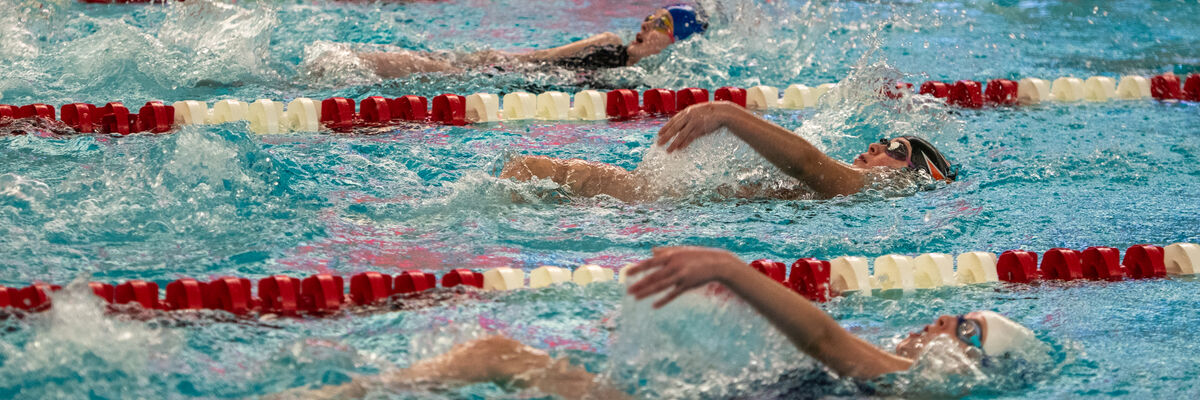 Swimmers swimming in lanes